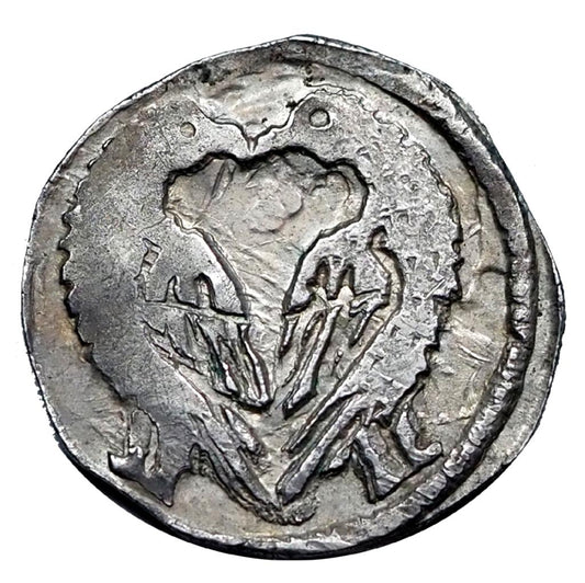 Ottó 1305-1307 denár RR!